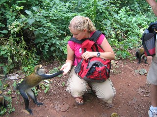 Banana Friends
